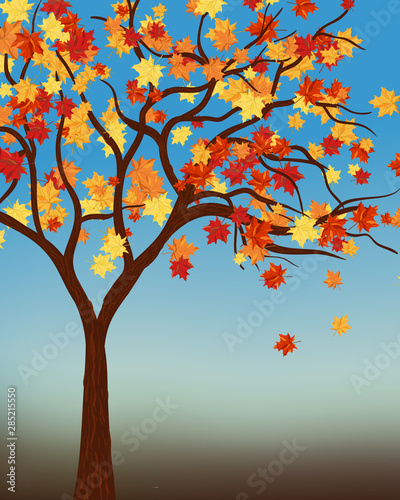 Fall (Autumn) Background © Konovalov Pavel