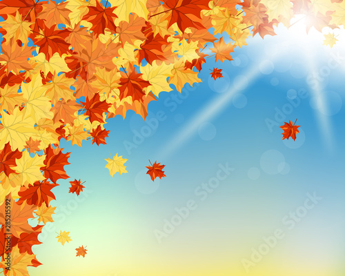 Fall  Autumn  Background