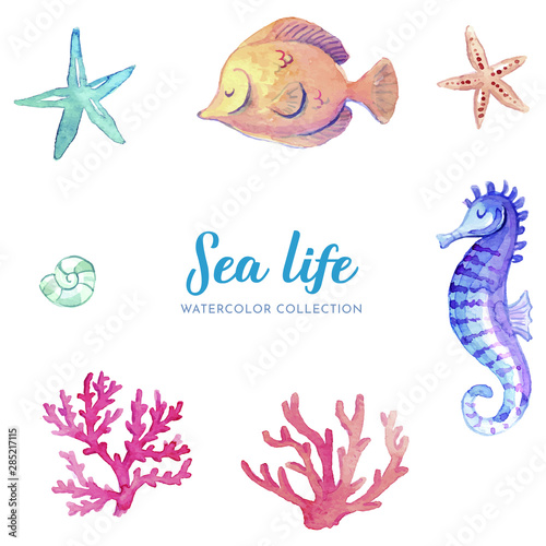 Watercolor sea life animals collection