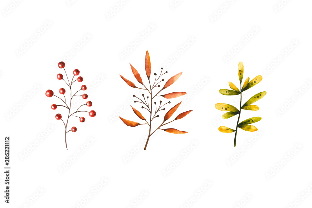 Watercolor autumn set of leaves and berries. Illustration isolated on white. Hand drawn foliage perfect for greeting card, invitation, postcard, poster, stickers, wallpapers, fabric textile