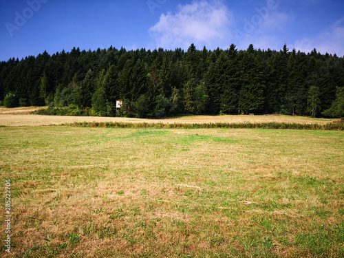 Fototapeta Naklejka Na Ścianę i Meble -  Summer hiking trail in the mountains in Poland