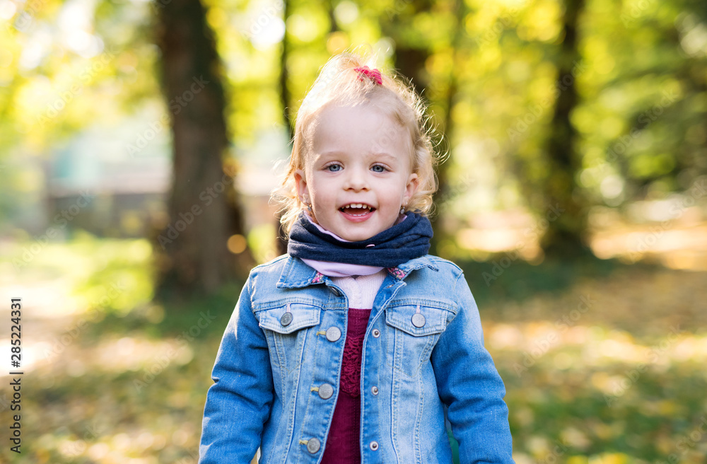 Front view portrait of a small toddler girl standing in autumn forest.