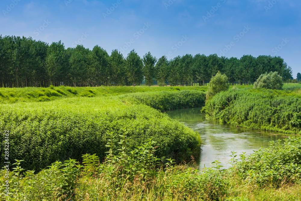 Naklejka premium River Monticano in Italy
