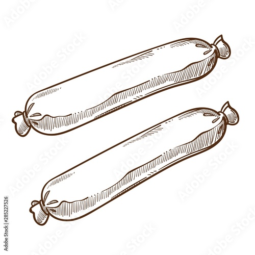 Gut sausages or frankfurters isolated sketch, meat food
