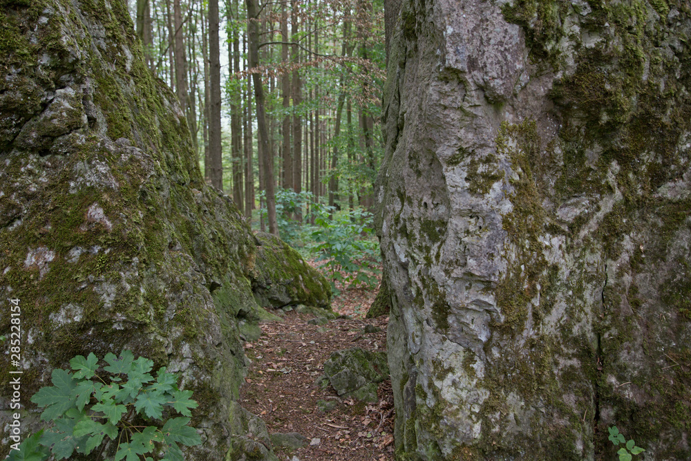 Naklejka premium Felsen / Weg