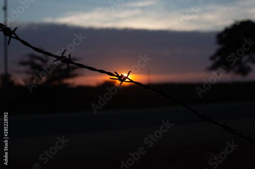 sunset with barb wire