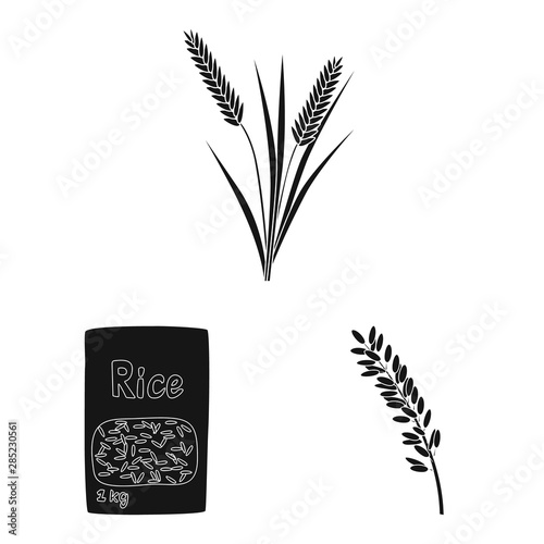 Isolated object of diet and cooking sign. Collection of diet and organic stock vector illustration.