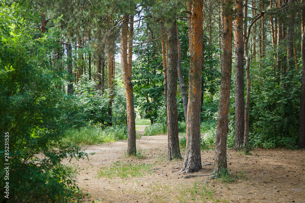 Sweden natural travel outdoors background Sweden natural travel outdoors background