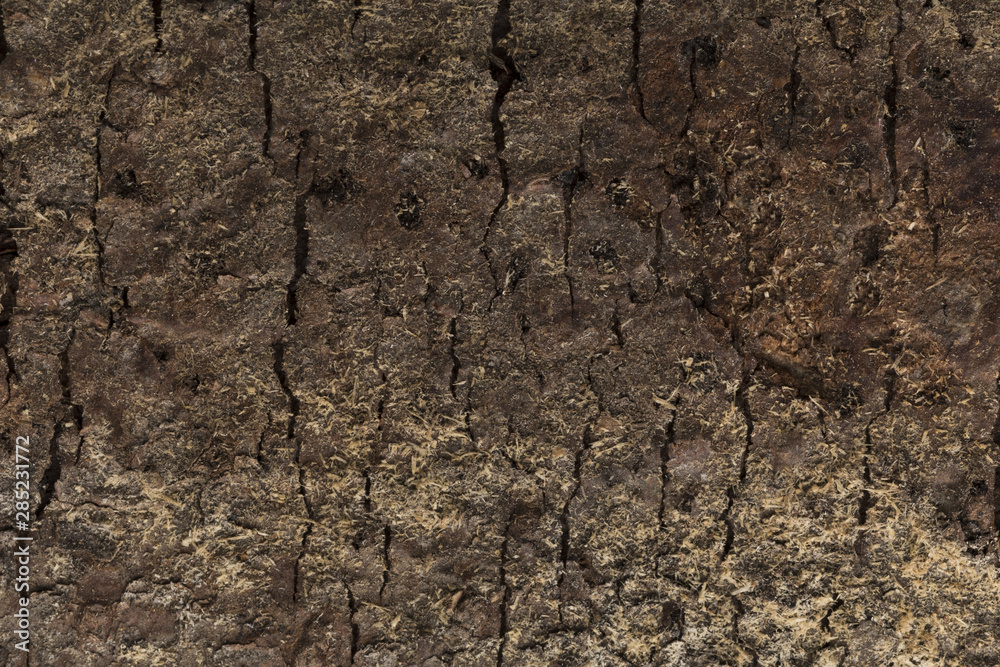 Decorative background of wood texture