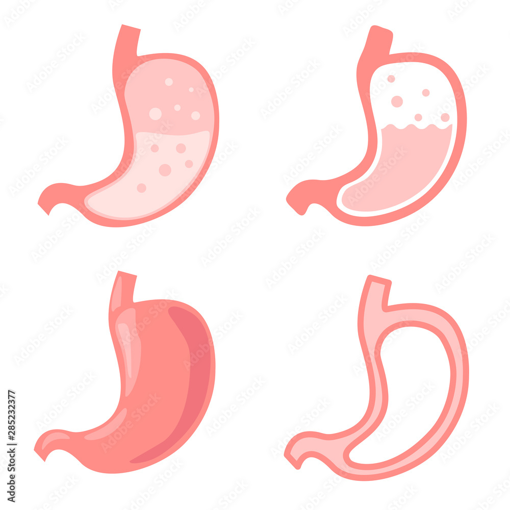 Set of stomach icons. Illustration of the human stomach. Set of stomach icons. Illustration of the human stomach.