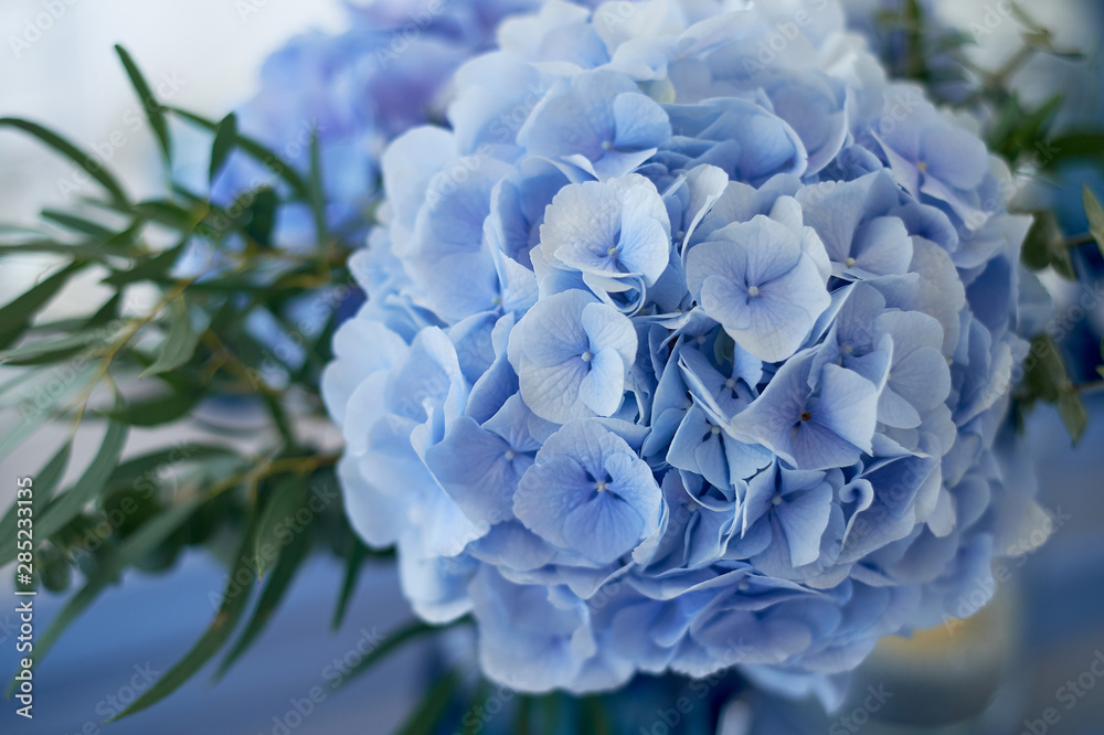 Wedding decoration of the Banquet hall for the wedding in blue. Hydrangea. Wedding decoration of the Banquet hall for the wedding in blue. Hydrangea.