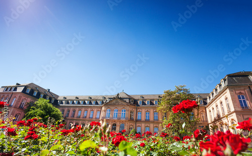 Scenic view of Neues Schloss building in Stuttgart photo
