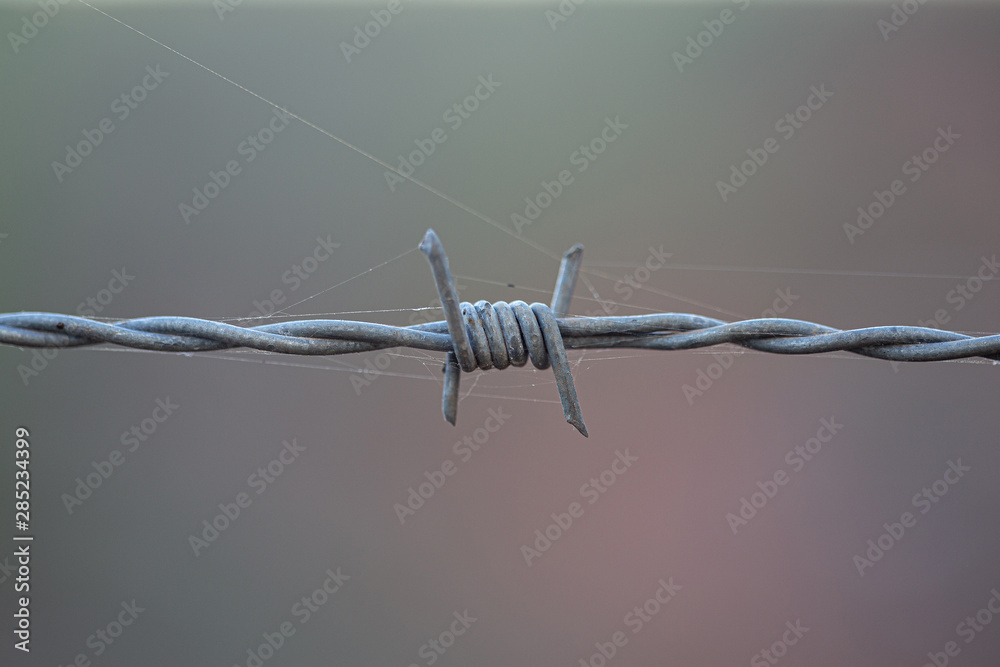 close up of a barbed wire