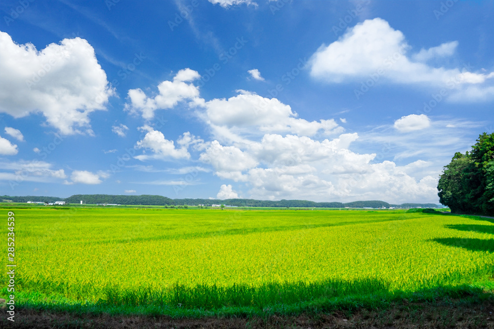 Obraz premium 田園風景