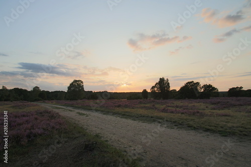 Wunderschöner Sonnenuntergang in der blühenden Lüneburger Heide