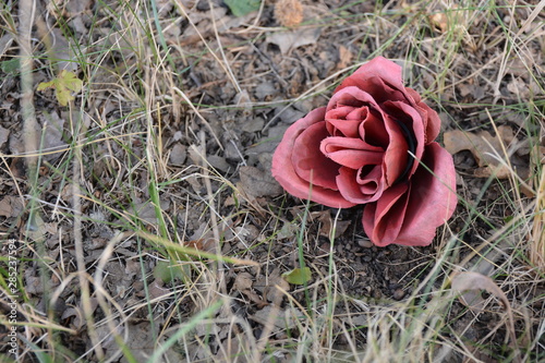 Plastic rose in nature.