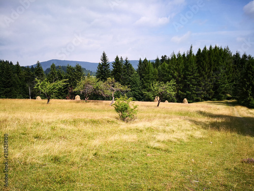 Fototapeta Naklejka Na Ścianę i Meble -  Summer hiking trail in the mountains in Poland