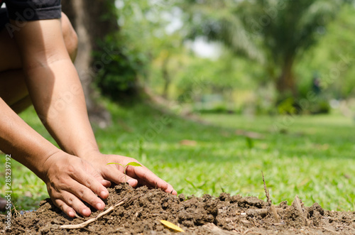 Man hands planting young tree in the garden, Eco concept.