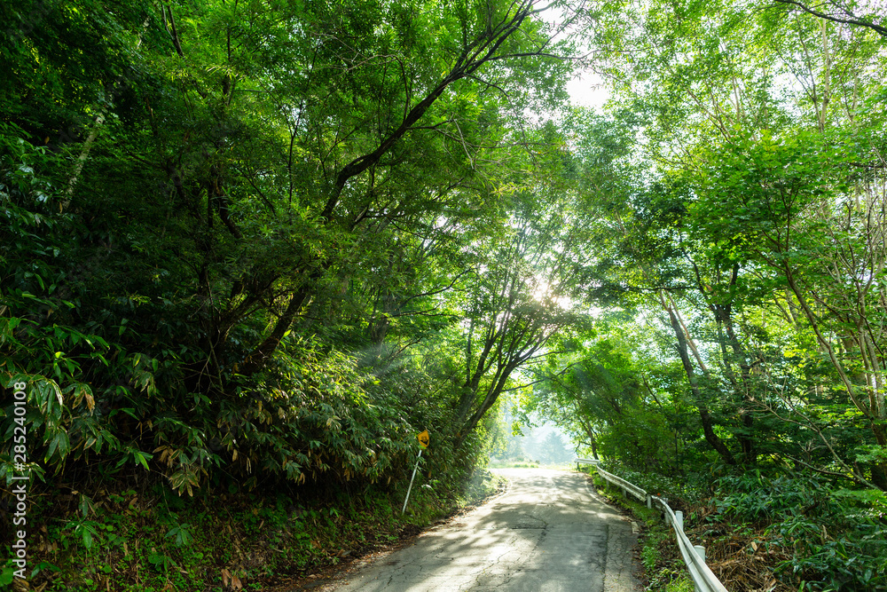初夏 休日 リラックス 雰囲気 初夏 休日 リラックス 雰囲気