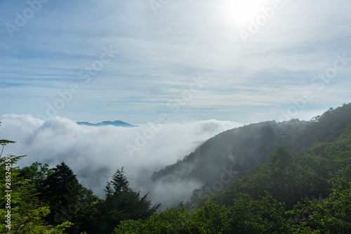 雲海