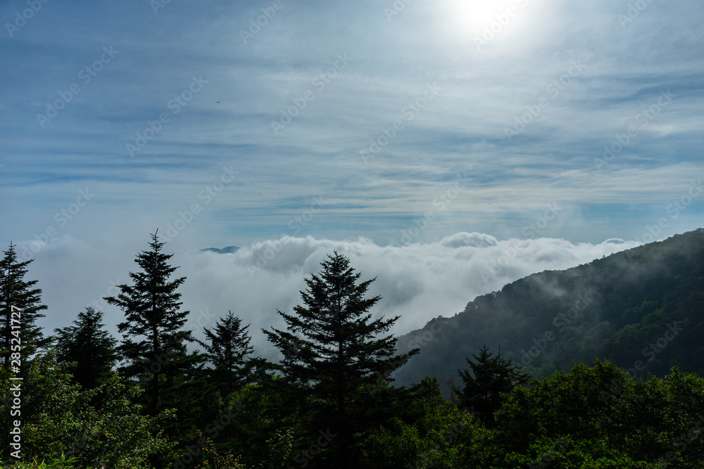 Fototapeta premium 雲海