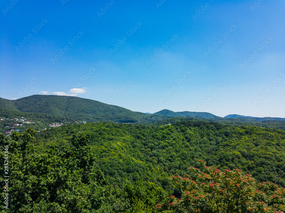 View of the Caucasus Mountains covered with green forest on a sunny summer day in cloudless weather.
