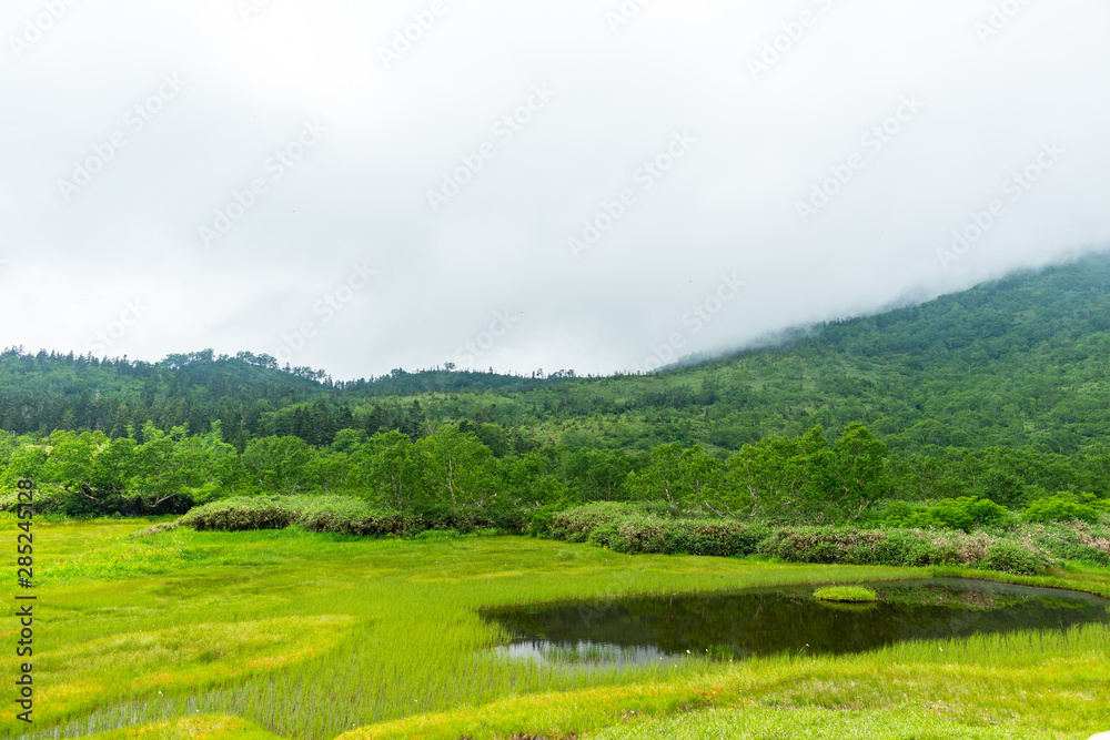 自然 登山 旅行 白馬大池 自然 登山 旅行 白馬大池