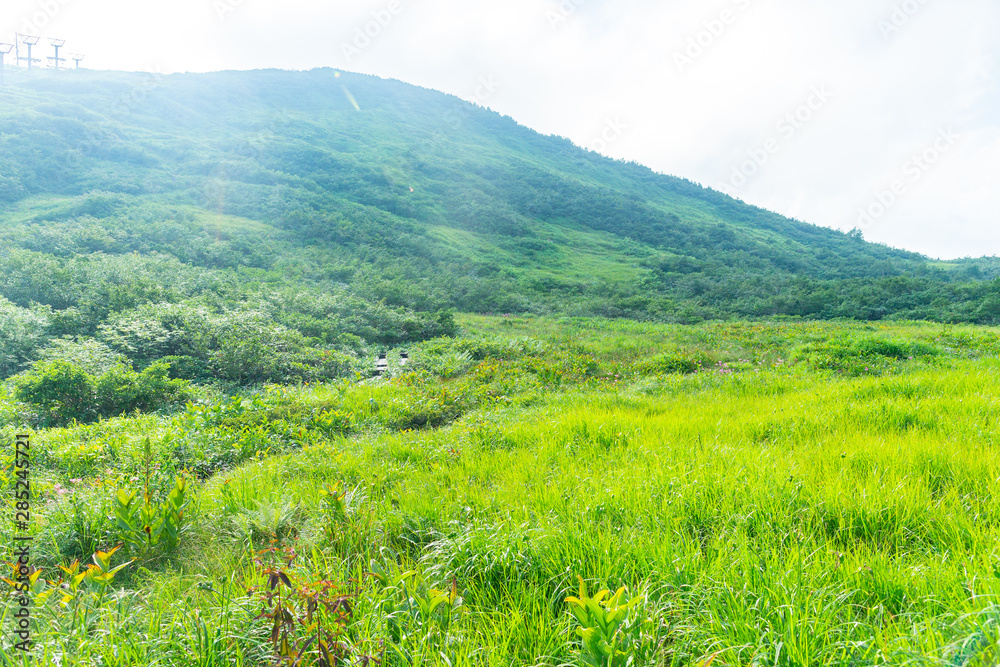 自然 登山 旅行 白馬大池 自然 登山 旅行 白馬大池