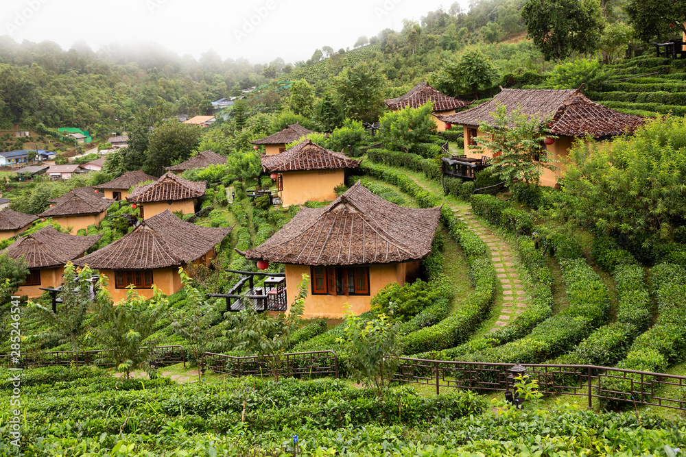Mountain view and beautiful landscape,earthen house,tea plantation,good weather,morning mist in Ban Rak Thai village in outdoor green nature,travel in Mae Hong Son,Thailand. Mountain view and beautiful landscape,earthen house,tea plantation,good weather,morning mist in Ban Rak Thai village in outdoor green nature,travel in Mae Hong Son,Thailand.