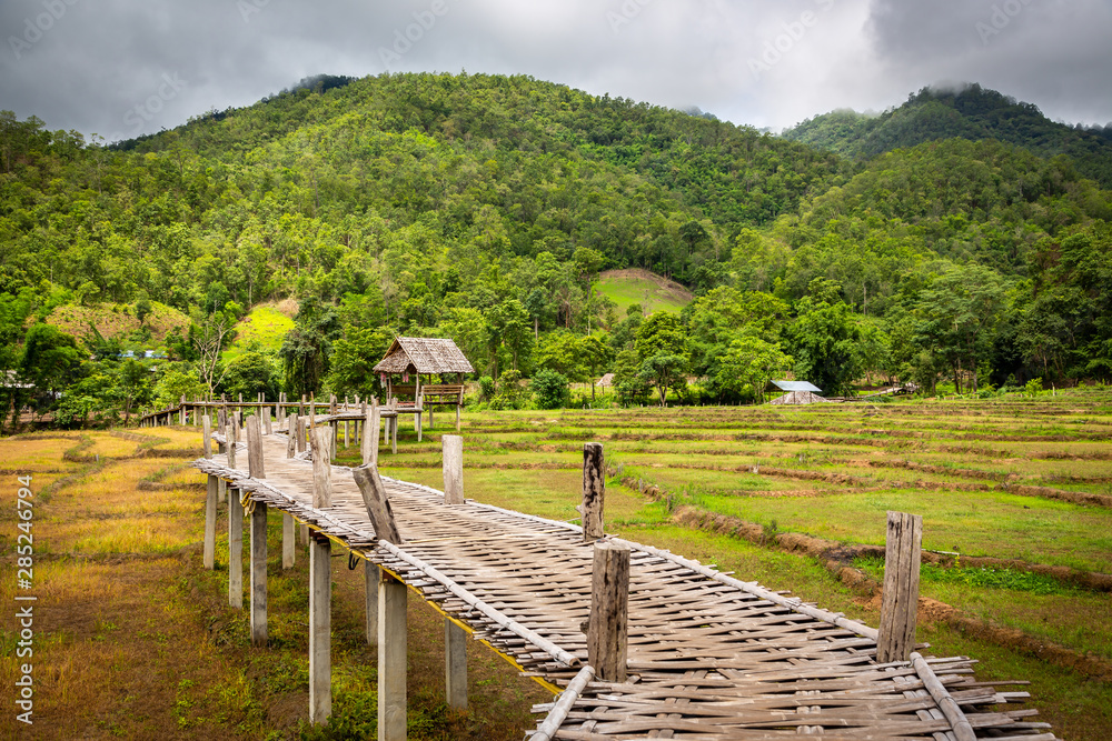 Mountain view and beautiful landscape bamboo bridge,Boon Bridge or Kho Koo So over rice fields in outdoor green nature in the valley,travel in Pai,Chiang Mai,Thailand