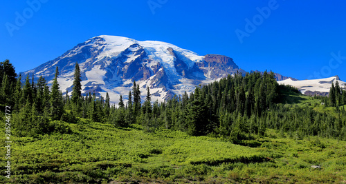 Mt. Rainier in Summer - Panorama