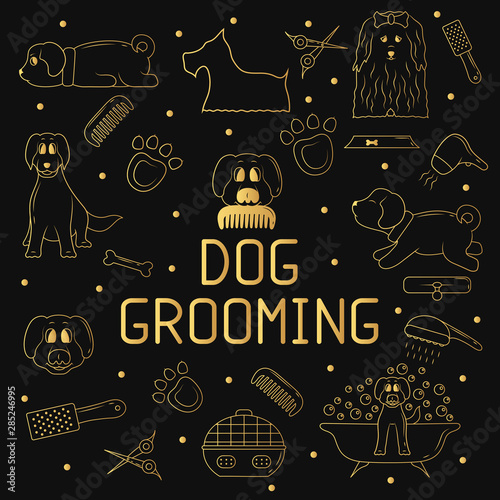 Dog grooming elements in gold color for pet shop or store. Line vector illustration. Cute puppy taking a bath and holding a brush. Golden template for veterinary shelter.