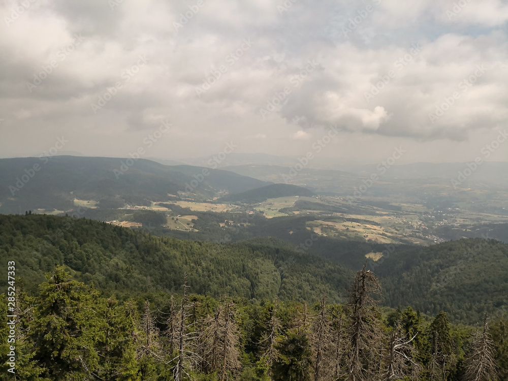Naklejka premium Summer hiking trail in the mountains in Poland