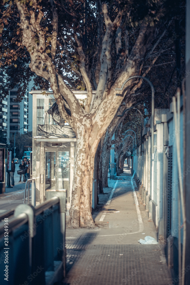 Obraz premium Sidewalk