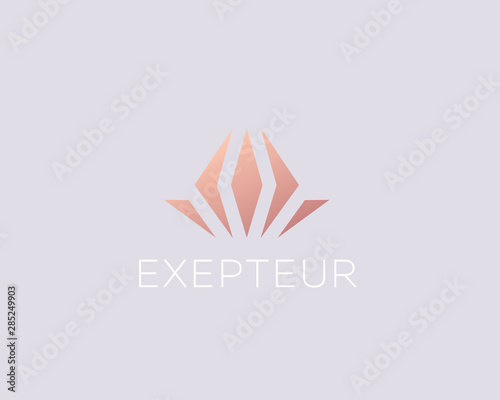 Flower gem logo design abstract premium minimal style illustration. Jewelry boutique vector icon symbol identity logotype