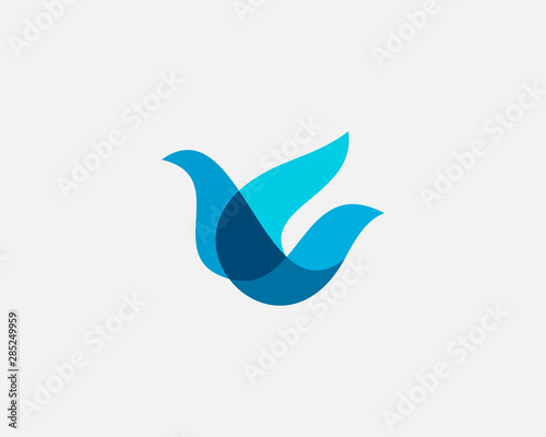 Bird logo design abstract modern colorful style illustration. Dove freedom vector icon symbol identity logotype