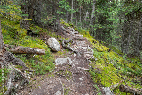 Opabin Trail at Lake O'Hara in Yoho National Park photo