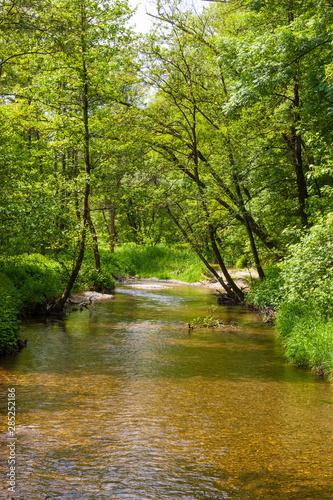 The naturalistic oasis of Fontane Bianche in Italy