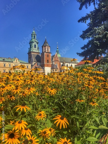 Krakow castle landmark, France