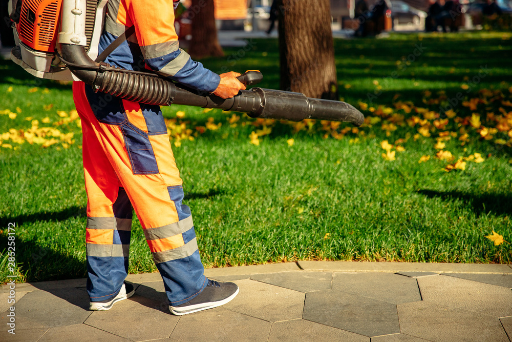 Obraz premium Leaf blower Male worker removes leaves lawn of garden autumn