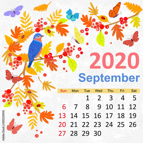 template with beautiful bird. Calendar for 2020  september
