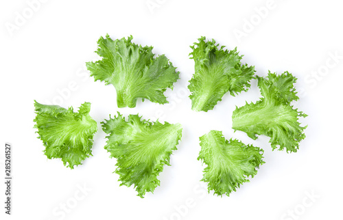 green frillies iceberg lettuce isolated on white background. top view