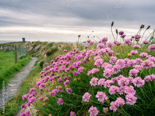 Cliffwalk at the cliffs of moher photo