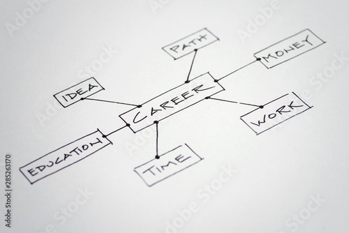 Career Decision Flow Chart