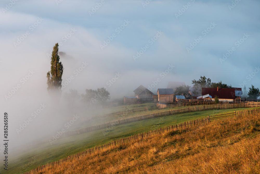 Obraz premium Summer foggy sunrise in the Carpathian hills