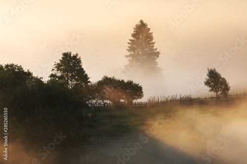 Summer foggy sunrise in the Carpathian hills