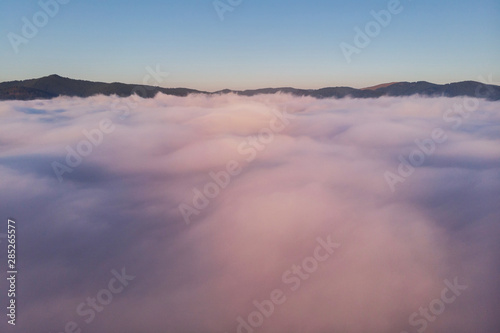 Summer aerial landscape above the fog