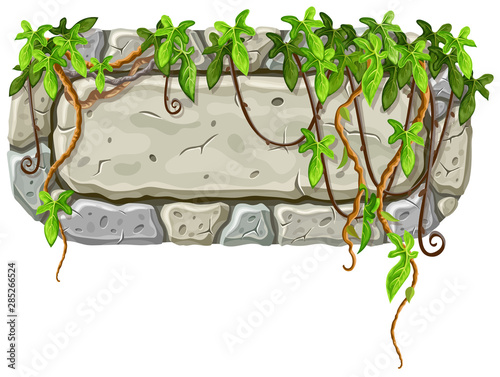 Stone board decoration liana branches and tropical leaves. Isolated vector cartoon square frame with space for text on white background.