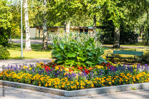 Colorful flowerbed with dahlia, begonia, salvia, marigold and sweet tobacco in the city park.
