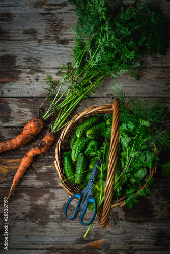 Harvest cucumbers in a basket, freshly harvested carrots in soil on wooden background outdoors. Vertical image.
